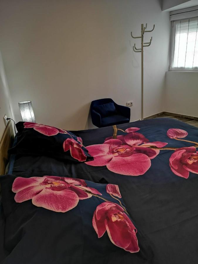 Apartamento Ibañez Benidorm Exterior foto